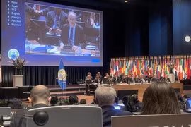 Vietnam asiste a conferencia de revisión de Convención sobre Armas Químicas