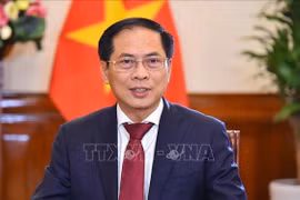 Buscan promover cooperación entre localidades vietnamitas y provincia china de Hainan