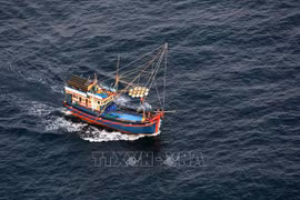 Asociación de Pesca de Vietnam rechaza prohibición china de pesca en Mar del Este