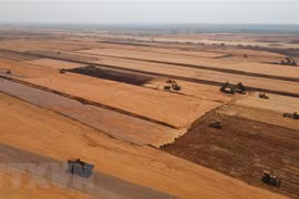Vicepremier insta a entregar terrenos limpios para subproyectos del aeropuerto de Long Thanh