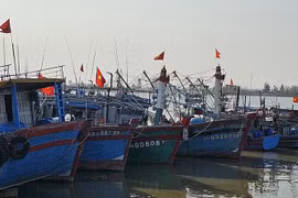 Vietnam por elevar conciencia sobre desarrollo sostenible de pesca