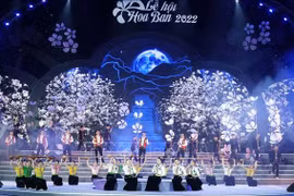 Celebrarán Festival de flor de Bauhinia blanca con destacadas actuaciones