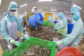 Exportadores vietnamitas de camarón reportan ganancias en 2022 gracias a TLC