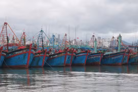 Mejoran conciencia de trabajadores en mar sobre IUU