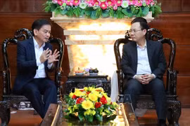 Ciudad vietnamita convida a invertir en industrias verdes