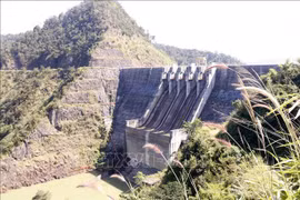 Destacan eficiencia de proyectos de inversión de Vietnam en Laos
