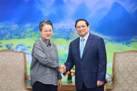Premier vietnamita recibe a dirigente de la ONU