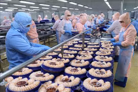 Vietnam cumplirá meta millonaria de exportación de productos acuícolas