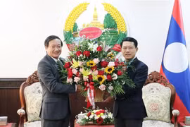 Embajador vietnamita felicita fiesta tradicional Bunpimay de Laos 