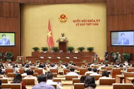 Parlamento analiza políticas específicas para desarrollo de Ciudad Ho Chi Minh