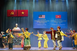 Experto malasio evalúa oportunidades de cooperación de su país con Vietnam 