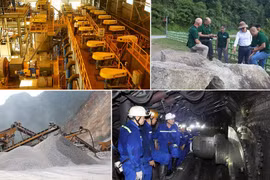Intensifican cooperación científica Vietnam-Polonia
