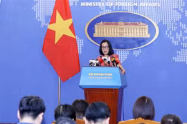 Vietnam rechaza contenido incorrecto del documental sobre avión MH370 desaparecido