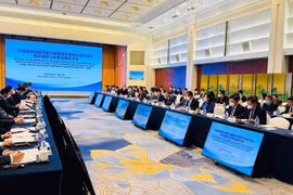 Vietnam y China impulsan cooperación en reforma y desarrollo de empresas estatales 