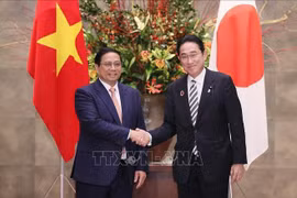 Premier vietnamita conversa con su homólogo japonés