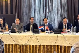 Fomentan Vietnam y Países Bajos cooperación ambiental