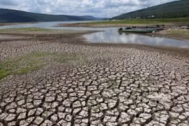 Adaptación al cambio climático en Vietnam requiere fondo multimillonario