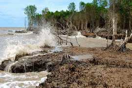 Prevén aumento de intrusión de agua salada en estuarios del Mekong en marzo