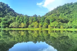 Cuc Phuong premiado por quinta vez como el parque nacional líder de Asia 