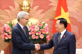 Vietnam aspira a consolidar asociación estratégica con Francia