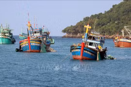 Provincia vietnamita redobla esfuerzos contra la pesca ilegal