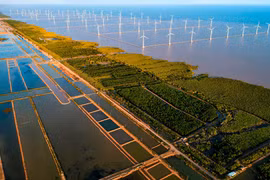Vietnam fija tareas para alcanzar metas sobre cambio climático