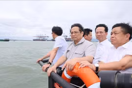 Premier vietnamita pide construir Can Gio como ciudad en el bosque