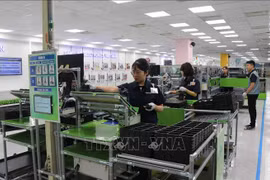 IED: Beneficios ayudan a Vietnam a convertirse en un "imán" en el Sudeste Asiático