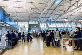 Corea del Sur mejora retraso de vuelos a Da Nang de Vietnam