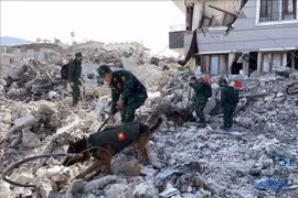 Vietnam destinará 200 mil dólares para ayudar a Turquía y Siria tras terremoto
