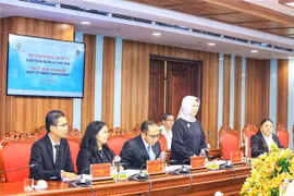 Vietnam e Indonesia fomentan cooperación en campo de auditoría