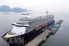 Crucero trae más de dos mil visitantes internacionales a Ha Long