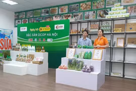 Hanoi desarrollará centros de diseño creativo para productos de OCOP