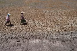 Tailandia registrará menos precipitaciones el próximo año debido a El Niño