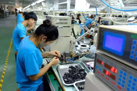 Resalta PNUD empeño de Vietnam por cumplir metas económicas y climáticas