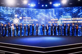 Lanzan Red de Semiconductores de Vietnam 