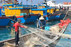 Vietnam supera deficiencias para levantamiento de "tarjeta amarilla"