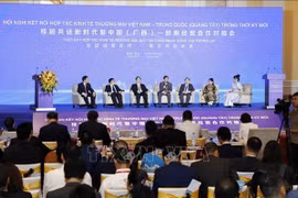 Vietnam y provincia china de Guangxi promueven cooperación económica