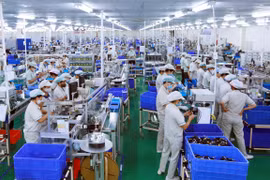Empresas vietnamitas aceleran inversión para anticipar nuevas oportunidades