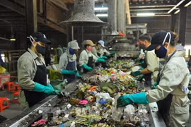 Mayoría de residuos domésticos urbanos de Vietnam se procesarán de forma segura en 2023