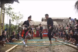 Impresionante Festival de la Flor de Ban en ciudad de Dien Bien Phu