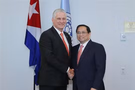 Vietnam busca mejorar lazos binacionales con países en el mundo