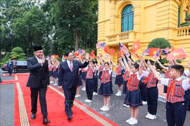 Vietnam y Malasia desempeñan papel importante en la ASEAN