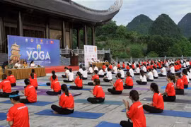 Nutrida participación en Día Internacional del Yoga en localidad vietnamita