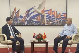 Dong Nai intensifica cooperación con localidades cubanas