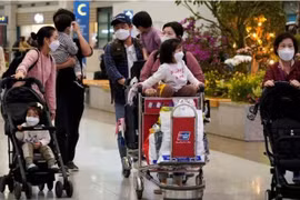 Empresas y turistas chinos dan la bienvenida a reanudación del tours a Vietnam 