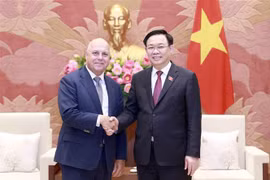 Dirigente vietnamita sugiere fortalecer cooperación en transición energética con Australia 