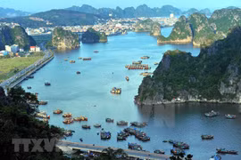 Provincia vietnamita de Quang Ninh: destino favorito de turistas en inicio de 2023