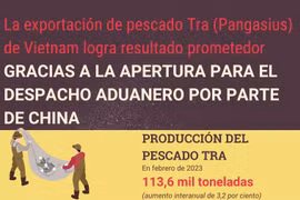 Exportación de pescado Tra de Vietnam logra resultado prometedor 