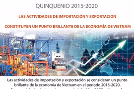 Actividades de importación y exportación: punto brillante de economía vietnamita